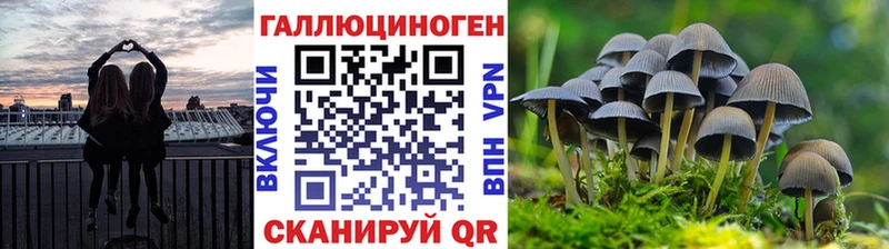 Галлюциногенные грибы MAGIC MUSHROOMS  Аткарск 